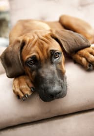 Garden Party at Tuscany Bay Apartments